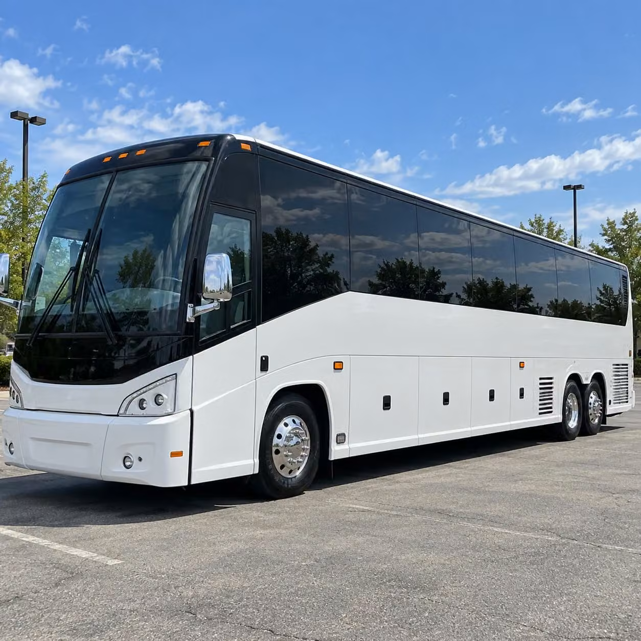 houston zoo hermann park and outdoor learning transportation